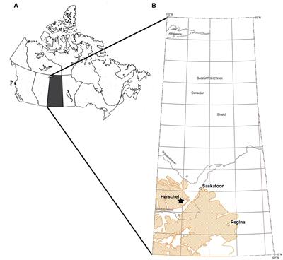 The Formation of a Marine Bonebed at the Upper Cretaceous Dinosaur Park - Bearpaw Transition of West - Central Saskatchewan, Canada